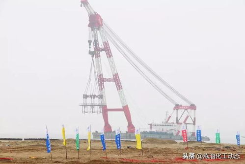 福建炼油化工公司 古雷石化码头工程项目开工